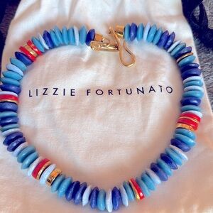 Jewelry Designer Lizzie Fortunado Necklace NWOT